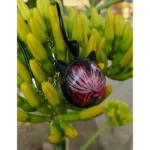 Resin Pendant - Gul-e-Hawa 001